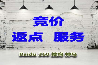 高返点充值平台：用户口碑与收益分析